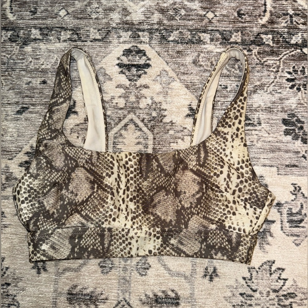 Scoop Back Bikini Top
